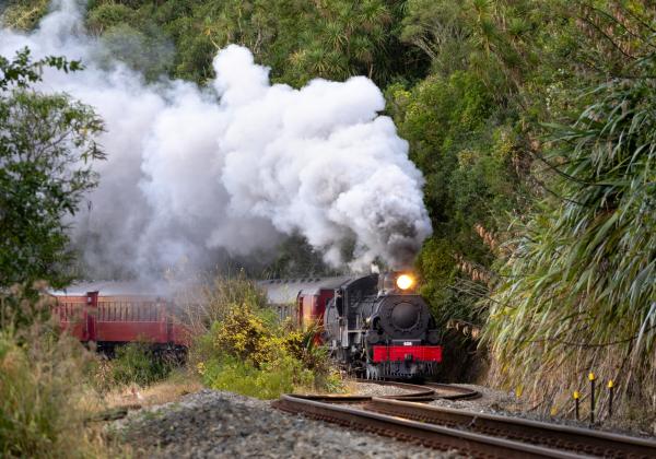 Woodville Steam Express