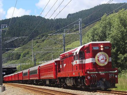 North pole express mckays
