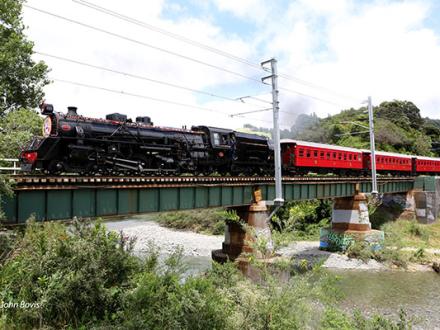 North pole express waikanae river bridge