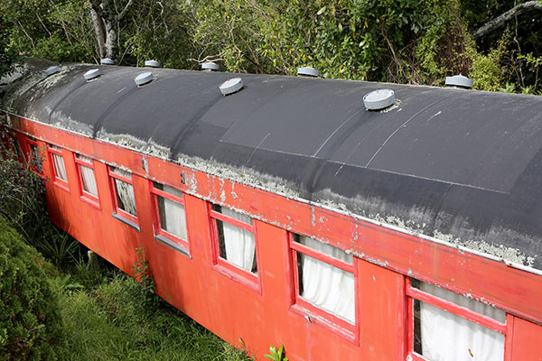 carriage at Forest Lakes Camp