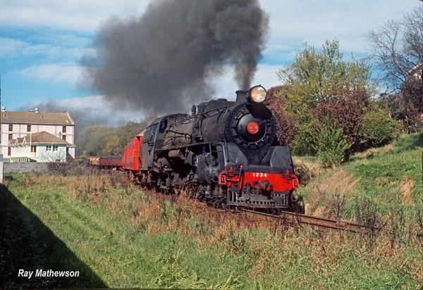 J1234 on South Island Limited