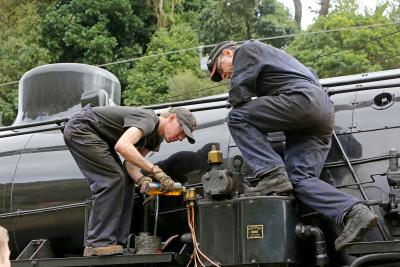 loco-service-volunteer