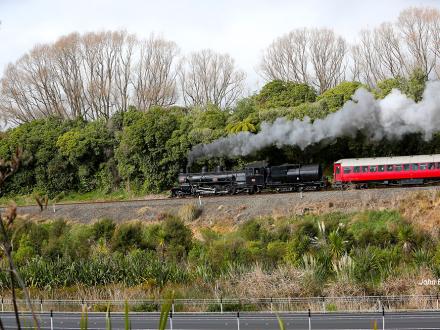 High Tea steam loco near Marycrest