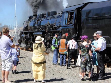 steam loco attraction napier