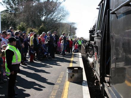 charter steam train otaki