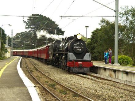 kapiti vintage train muri