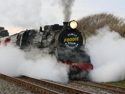 nostalgic steamy train trip manakau