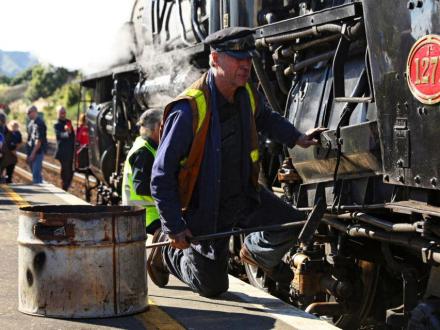 steam engine loco service