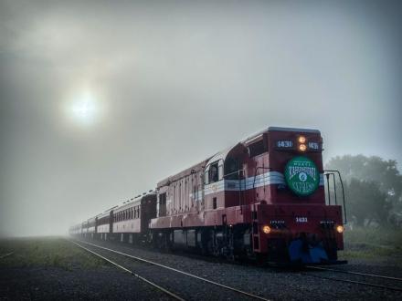 woodville station fog