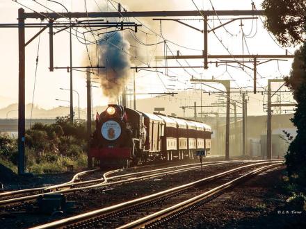 anzac special steam train