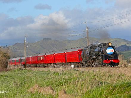 Homeward bound near Mangaweka