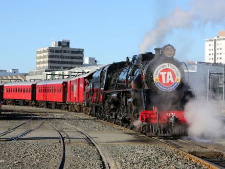 N34A3556 wgtn loco