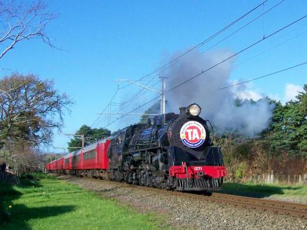 daffodil express train hutt valley