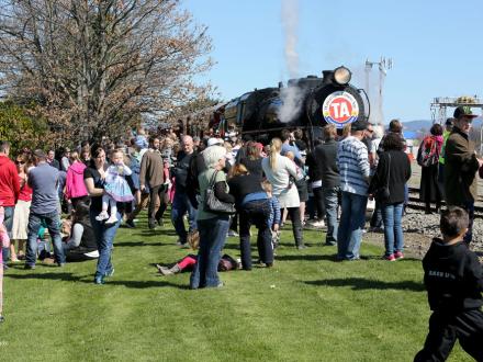 heritage steam train trip masterton