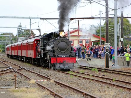 heritage train ride kapiti ab608