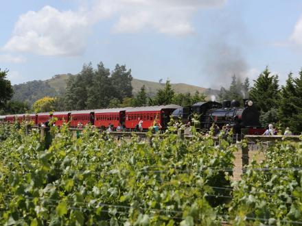 wine train opaki vineyard