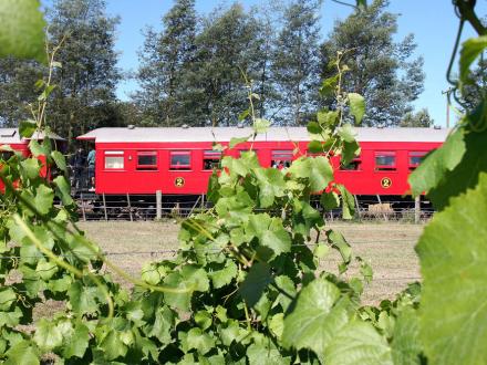 wine train ride vineyard opaki