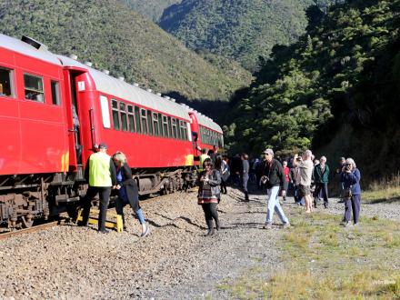 rail adventure remutaka train