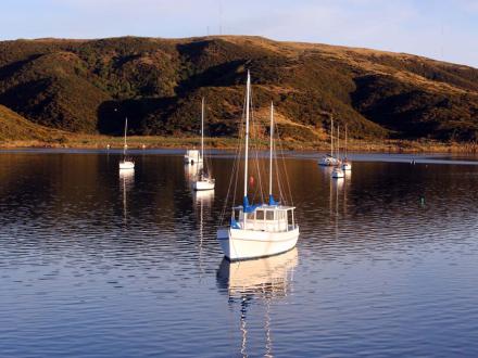 rail cruise paremata harbour