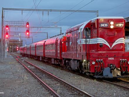 train trip night palmerston north