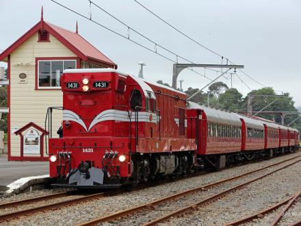 veteran train trip paekakariki