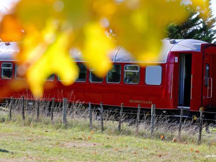 wine train grand cirle opaki