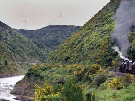 Wind Mills MGg 9949 small