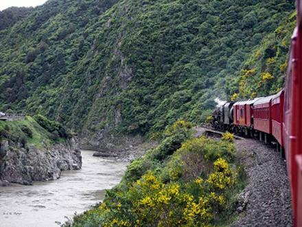 scenic train journey manawatu gorge steam