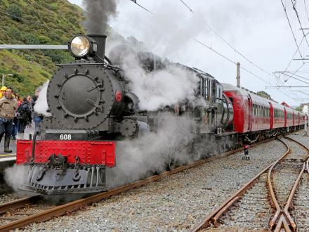 steam train journey paekakariki