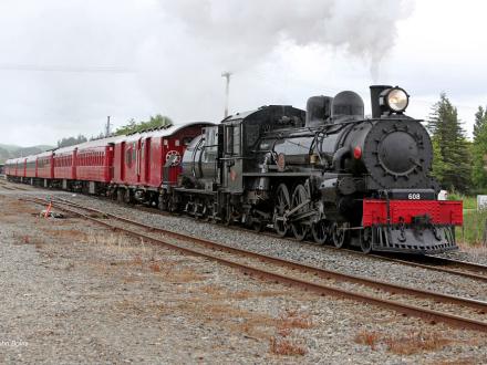 steam train ride woodville