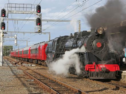 heritage steam train ride palmerston north