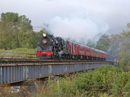 heritage train ride otaki bridge