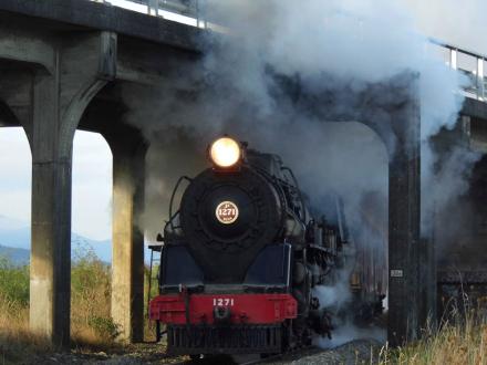 mainline steam engine manakau