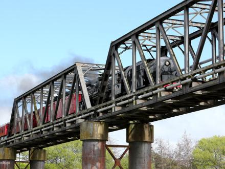 heritage steam train ride whanganui bridge