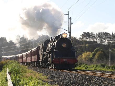 river city express train kakariki