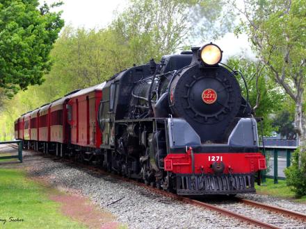 scenic rail adventure whanganui