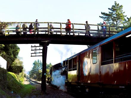 Tatum rail overbridge