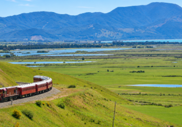 The Kaikoura Coast Express